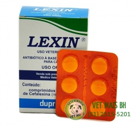 LEXIN 300 MG C/ 6 COMPRIMIDOS DUPRAT