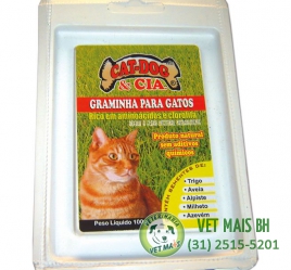 GRAMINHA PARA GATOS 60g